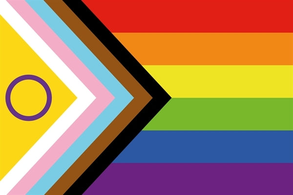 Intersex Progress Pride Community Fahne als erweiterung der bekannten regenbogenflagge bei sk8erboy